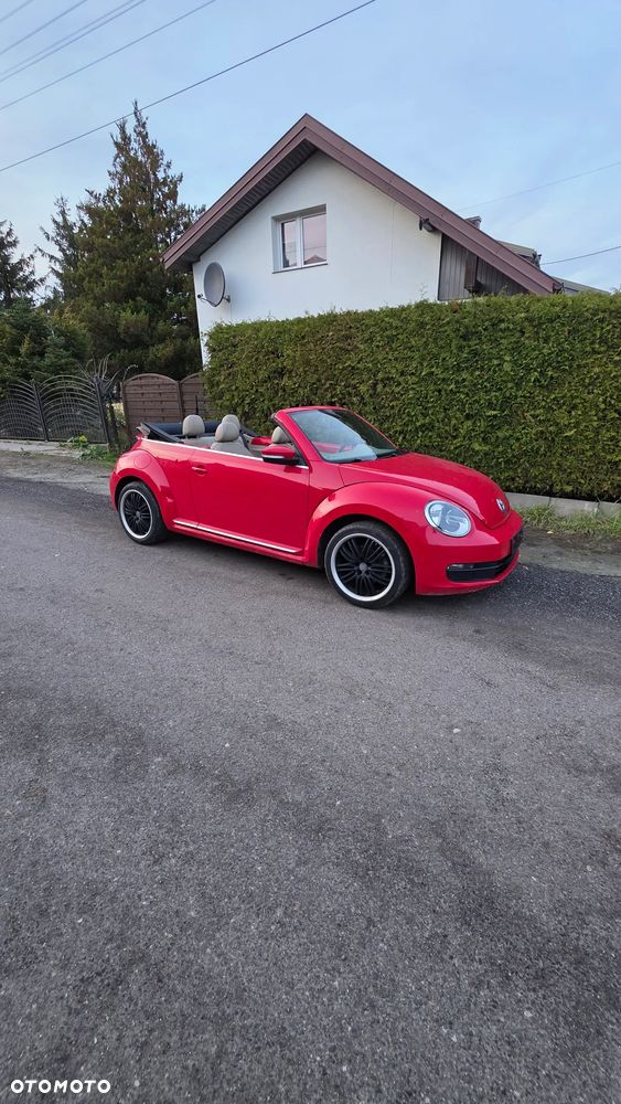 Volkswagen Beetle - 2