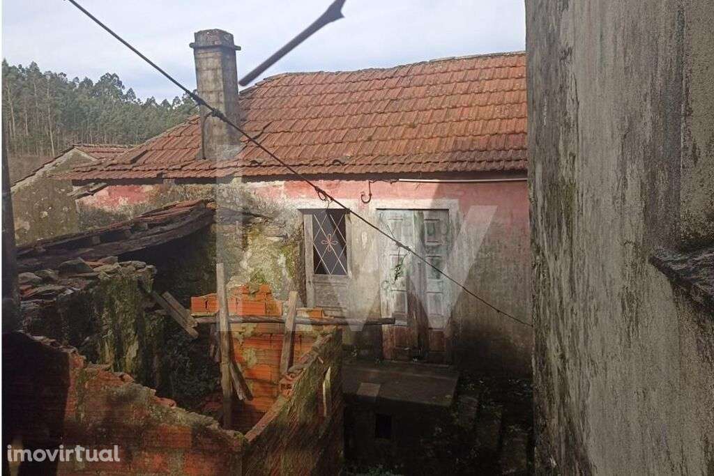 Moradia na serra, com logradouro para restaurar, Chã, Junqueira, Vale - Grande imagem: 3/19