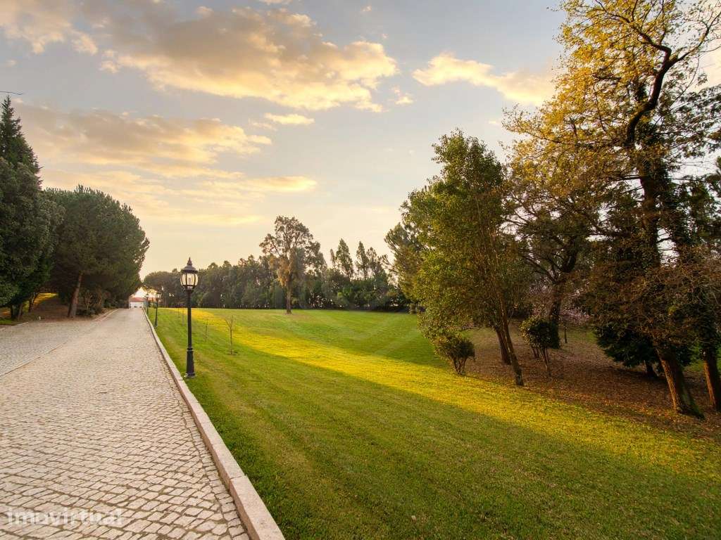 Quinta Histórica Portuguesa, Exclusiva, T11 em Oliveira de Azeméis ... - Grande imagem: 2/32