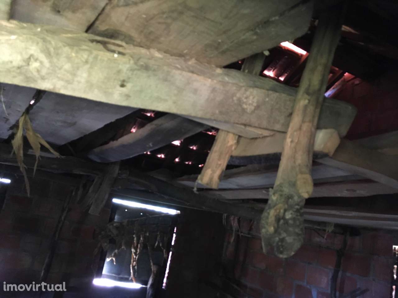 Moradia com terreno na Serra da Arada, Candal - Grande imagem: 5/18