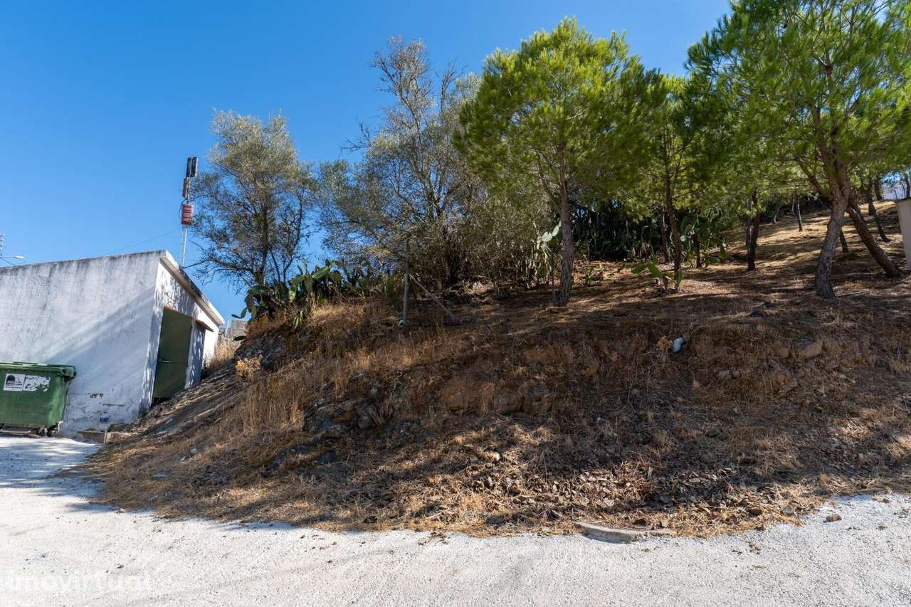 Terreno para construção junto ao Rio Guadiana na aldeia do Álamo, A - Grande imagem: 3/13