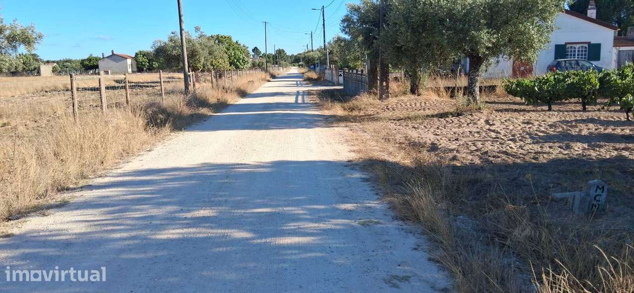 Terreno 5320 m2 – Glória do Ribatejo – Salvaterra de Magos - Grande imagem: 3/10