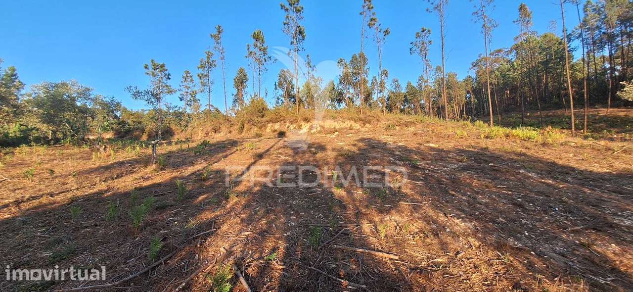 Terreno Rústico com 6.400 m² – Matas, Caranguejeira - Grande imagem: 4/39