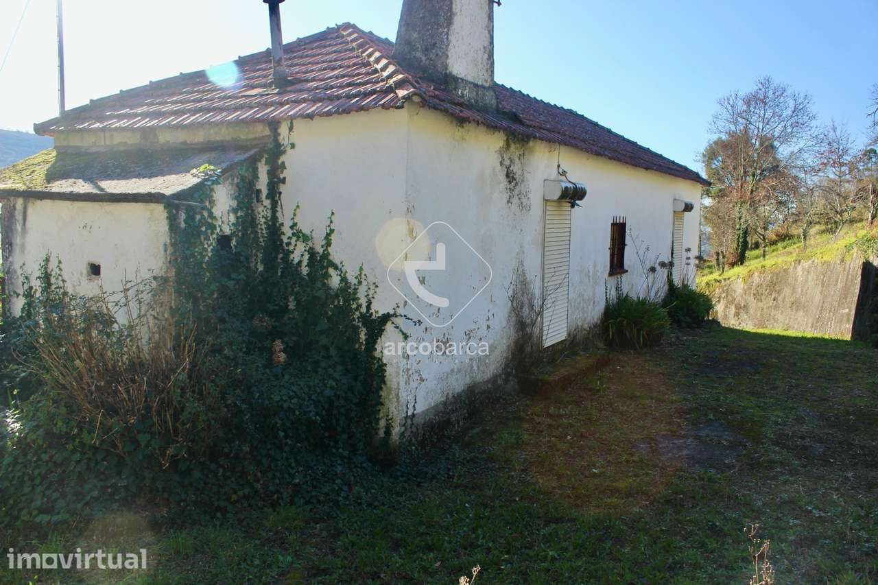 Quintinha com dois edificados, 4800m2 de terreno, na freguesia de Insa - Grande imagem: 3/45