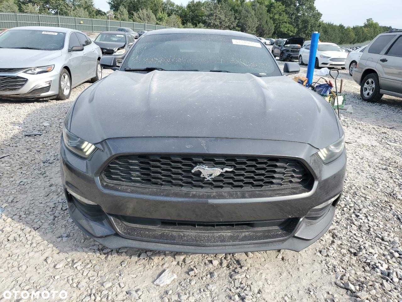 Ford Mustang 3.7 V6 - 3