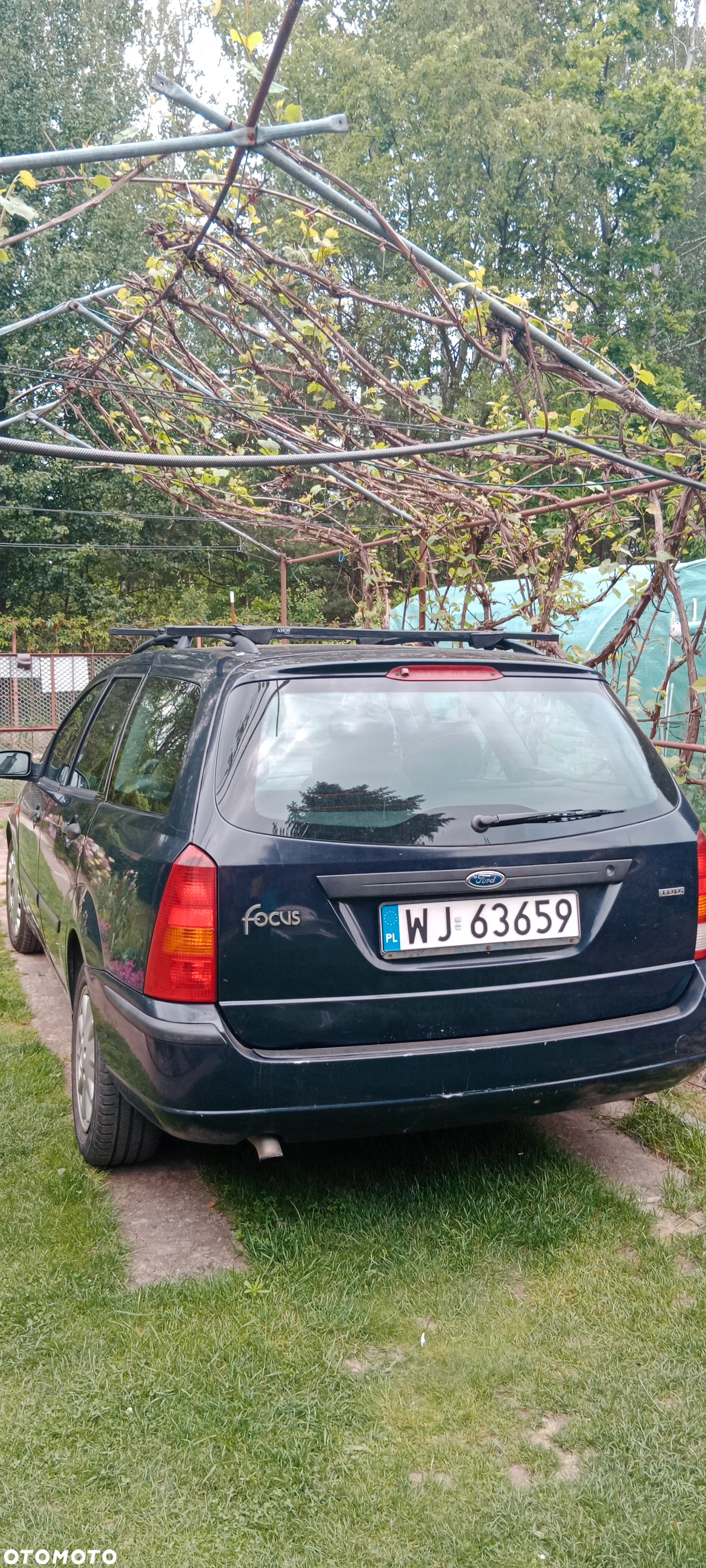 Ford Focus - 9