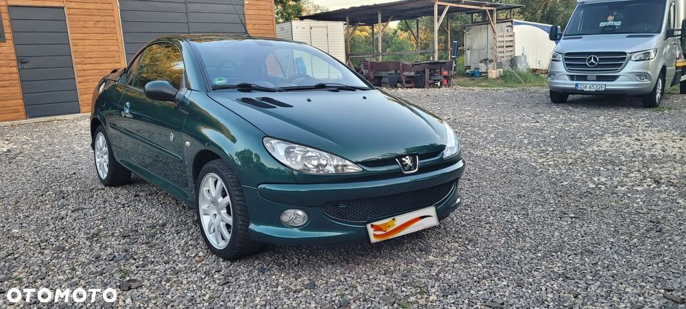 Peugeot 206 - 41