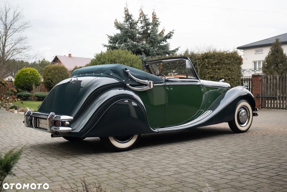 Jaguar Inny - 5