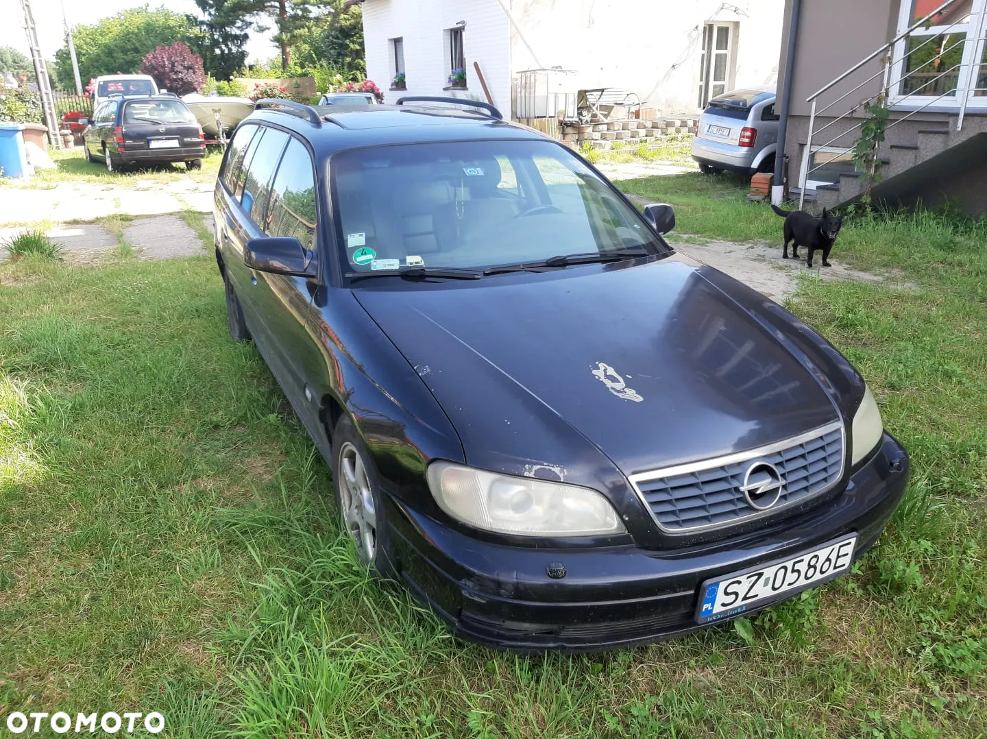 Opel Omega - 2
