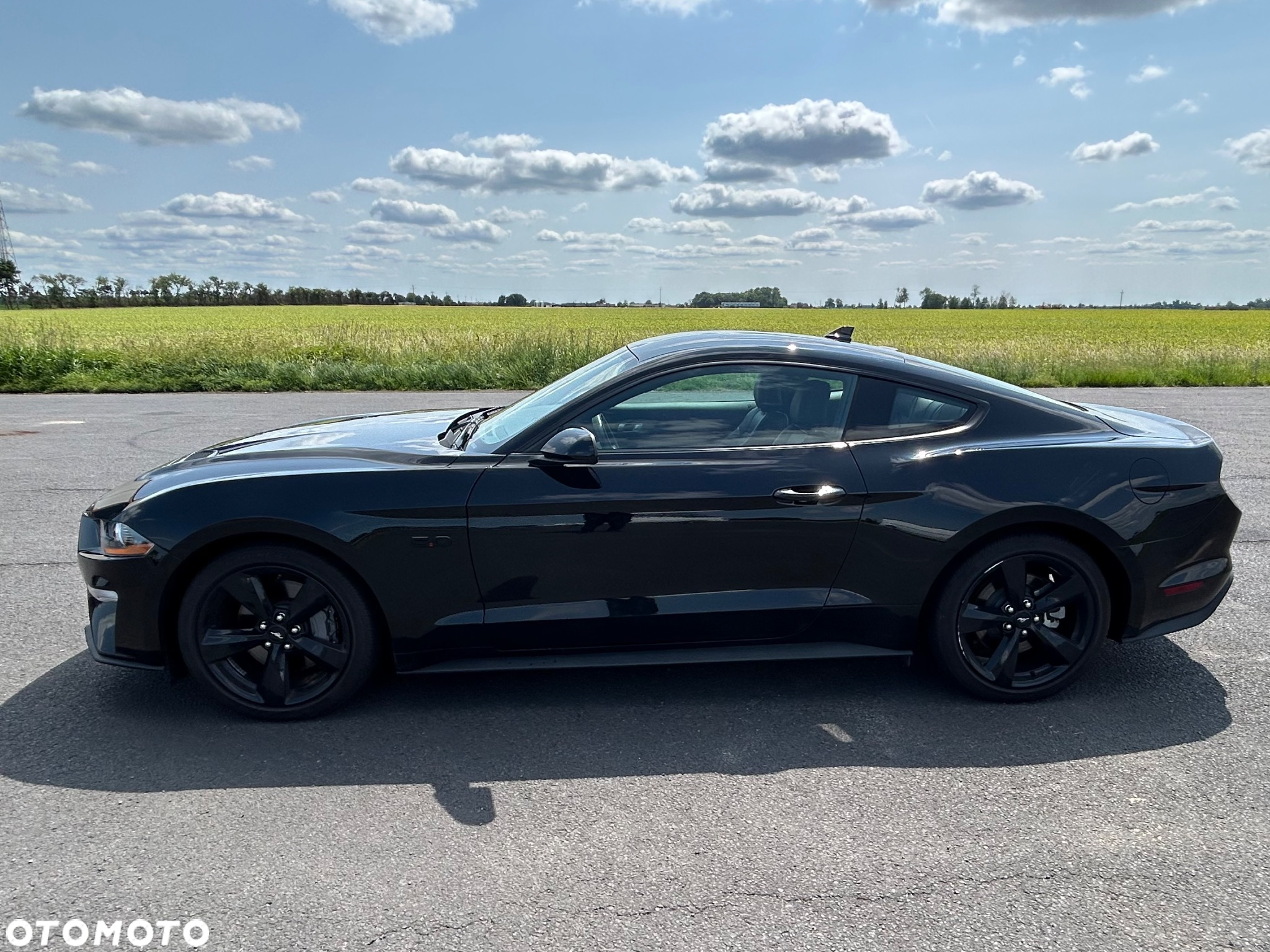 Ford Mustang 5.0 V8 GT - 10