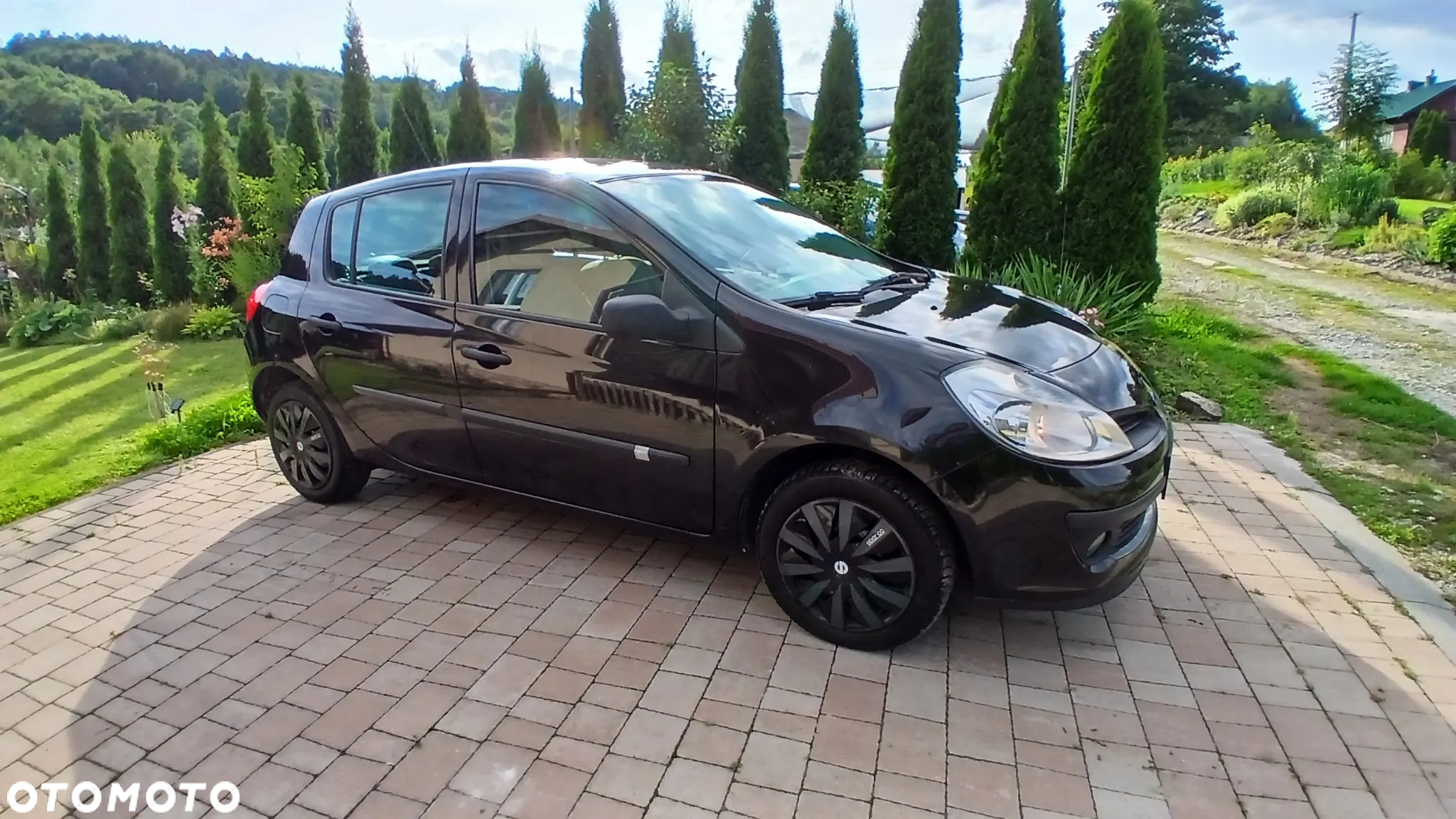 Renault Clio - 8