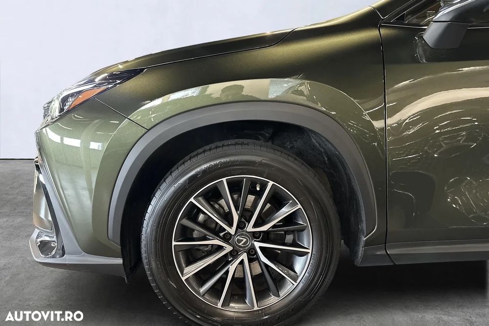 Lexus Seria NX 350h AWD CVT HEV Executive - 7