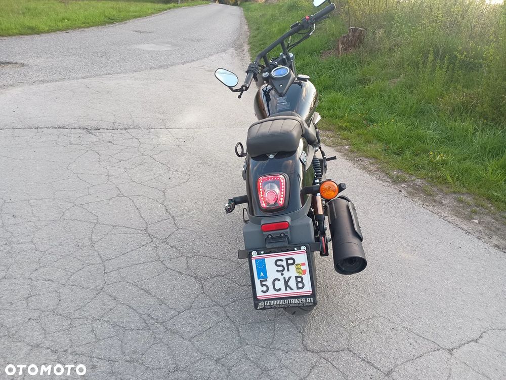 UM Renegade Freedom - 2