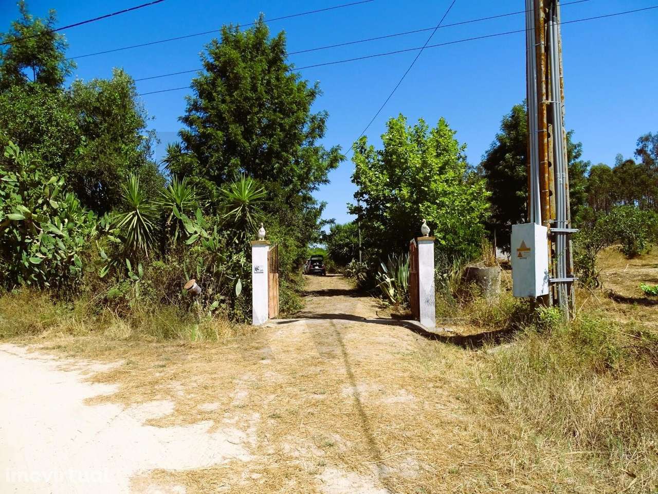 Quinta T2 com 4.05 hectares - Grande imagem: 2/45