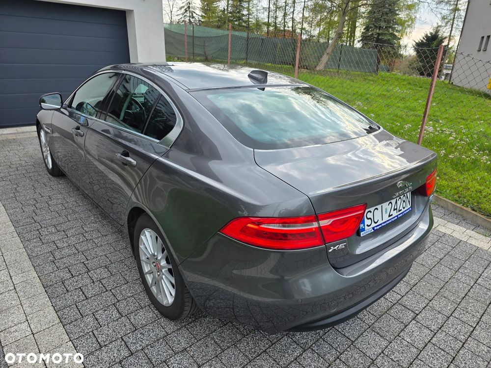 Jaguar XE E-Performance Pure - 7