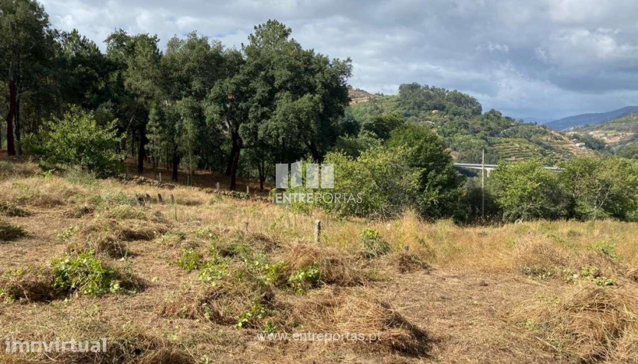 Venda Terreno para Construção de uma Moradia, Frende, Baião - Grande imagem: 2/29