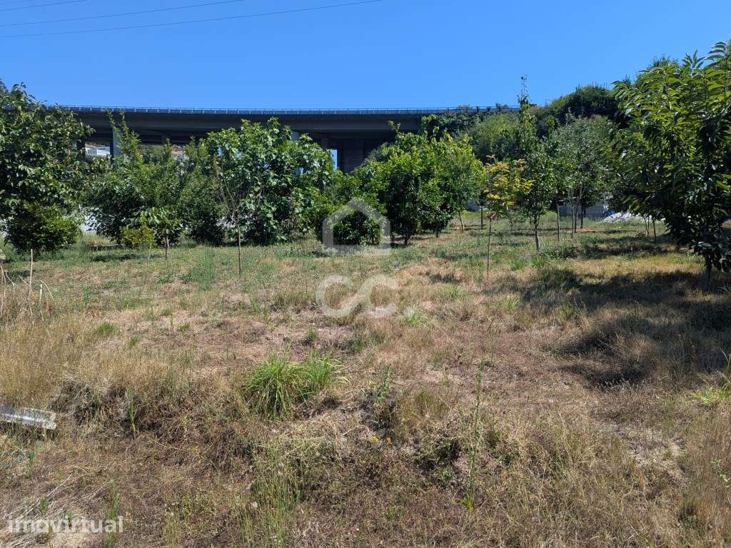 Terreno Rústico Agrícola com 13.410m² - Serzedelo, Guimarães - Grande imagem: 5/32