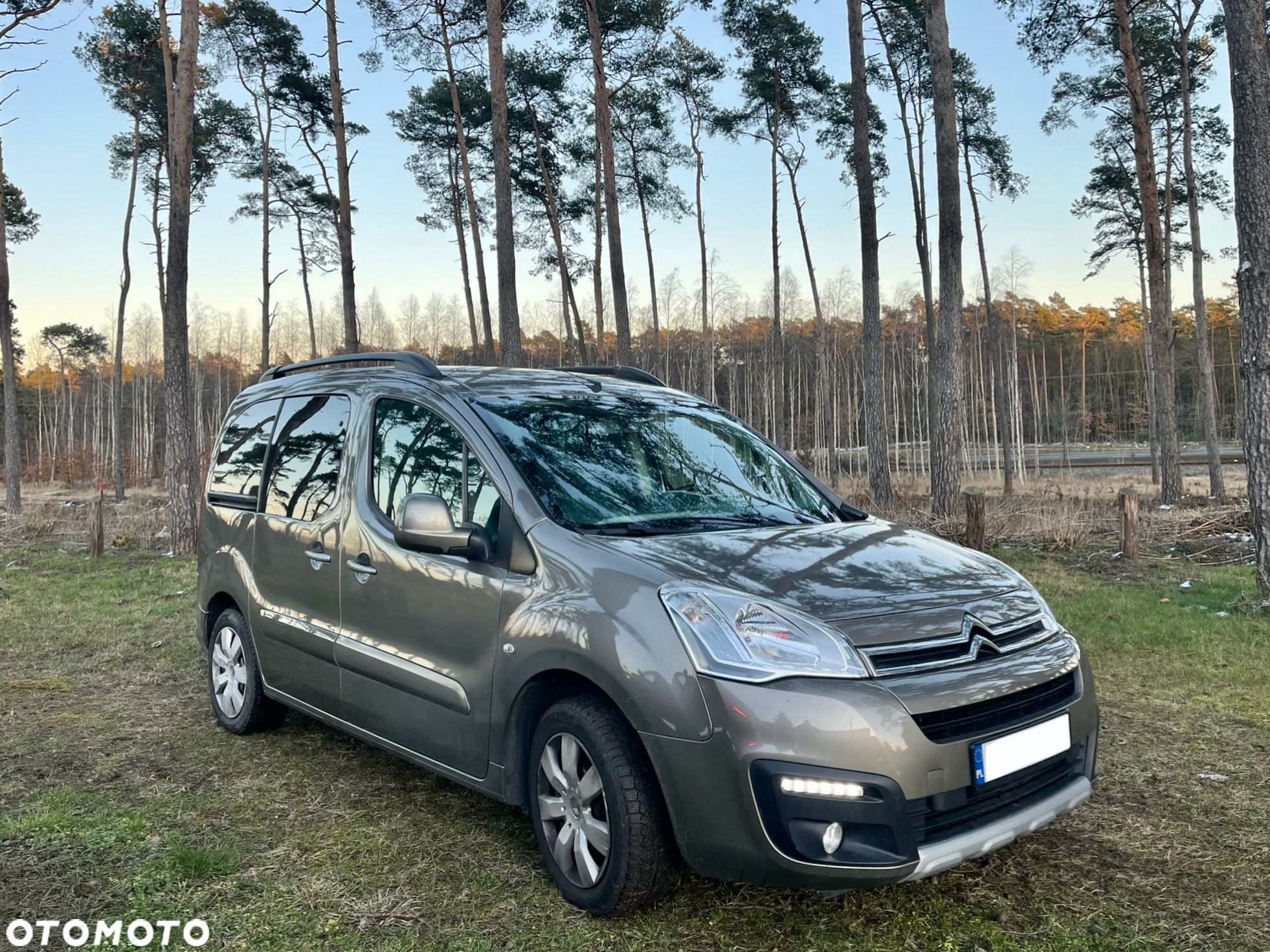 Citroën Berlingo - 1