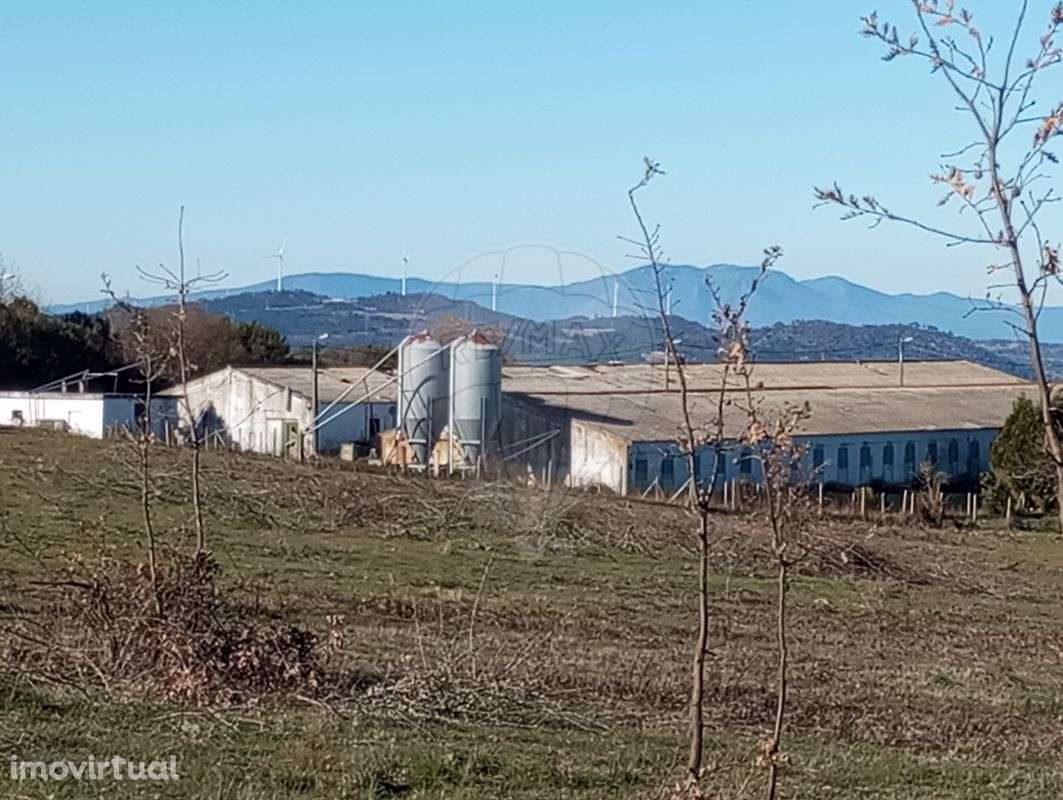 Quinta  para arrendamento - Grande imagem: 3/29