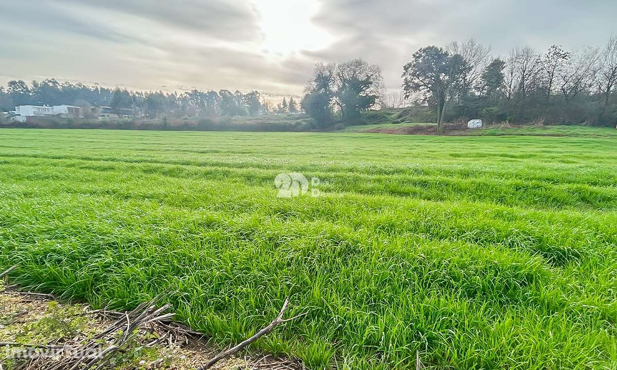 Terreno 10.000m² - Lemenhe - Grande imagem: 4/12