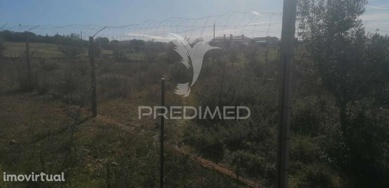 Terreno Industrial - Grande imagem: 3/7