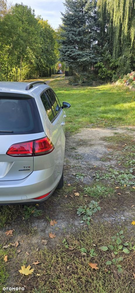 Volkswagen Golf - 7