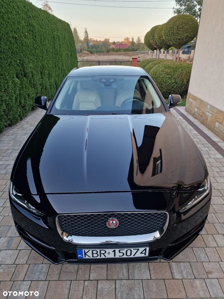 Jaguar XE - 3