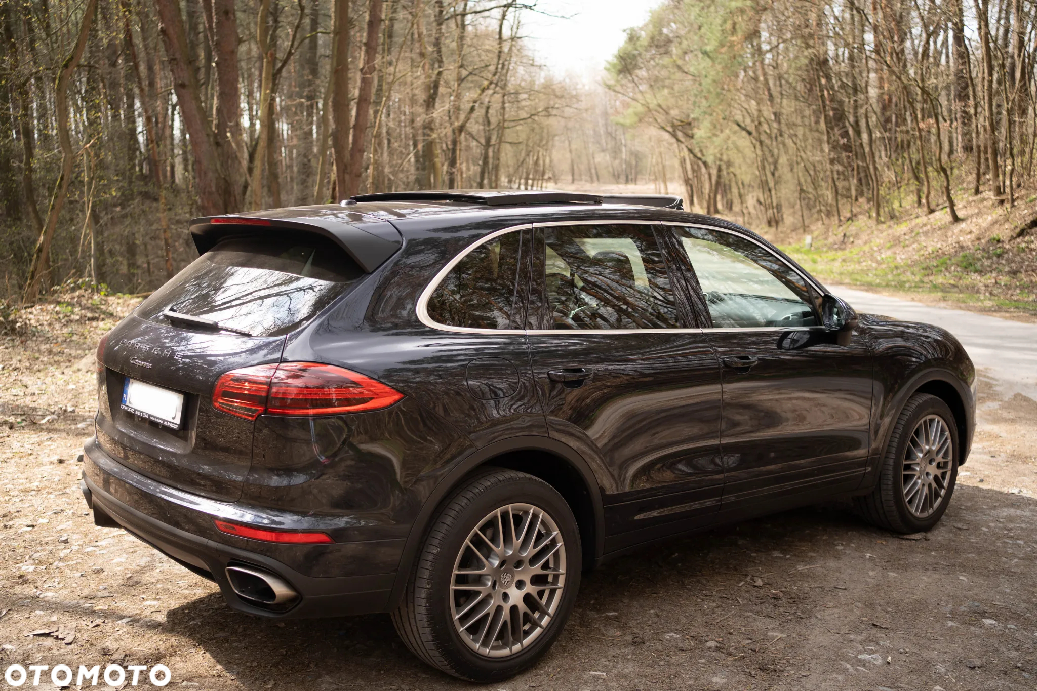Porsche Cayenne Platinum Edition - 5