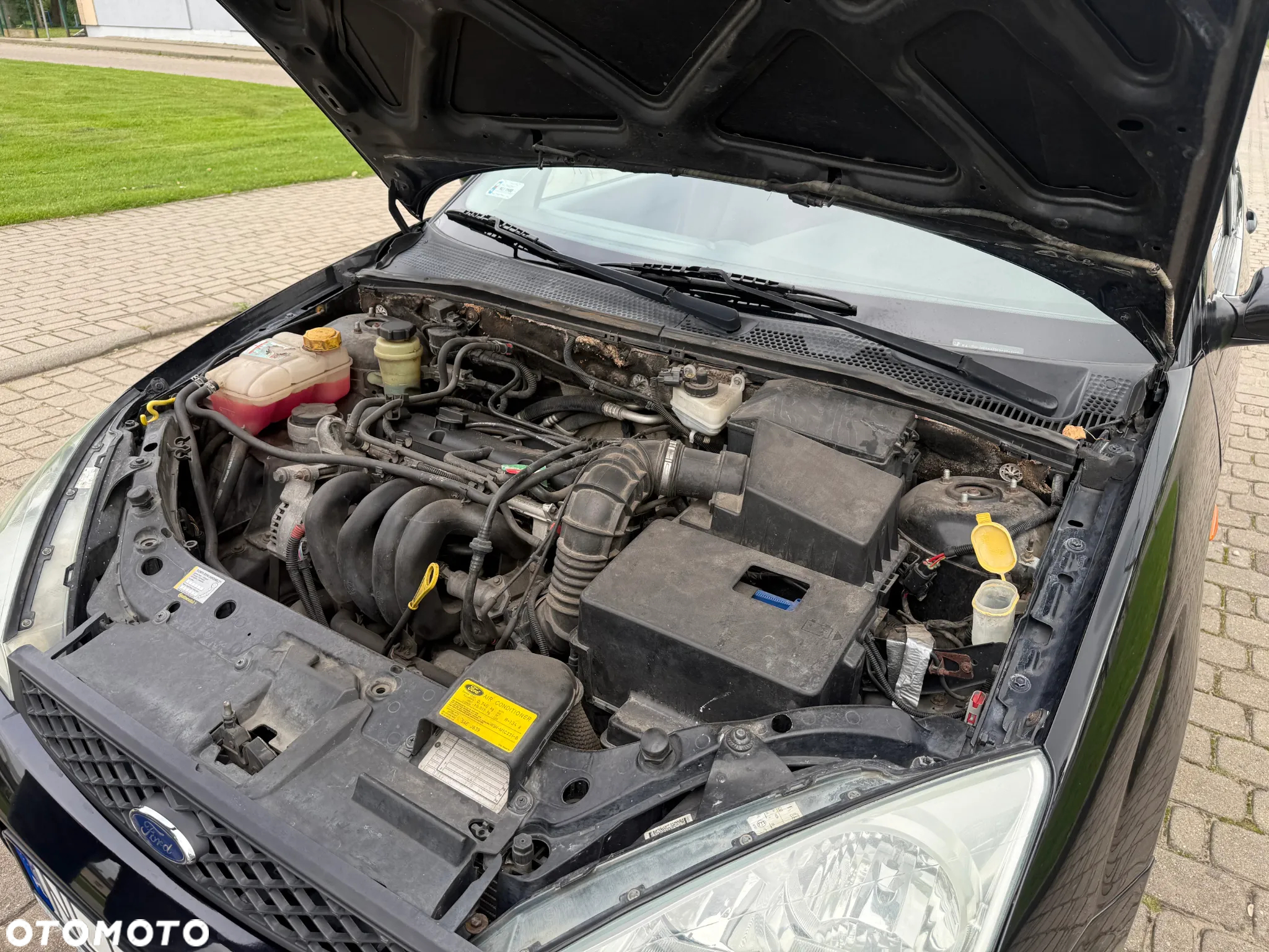 Ford Focus - 14