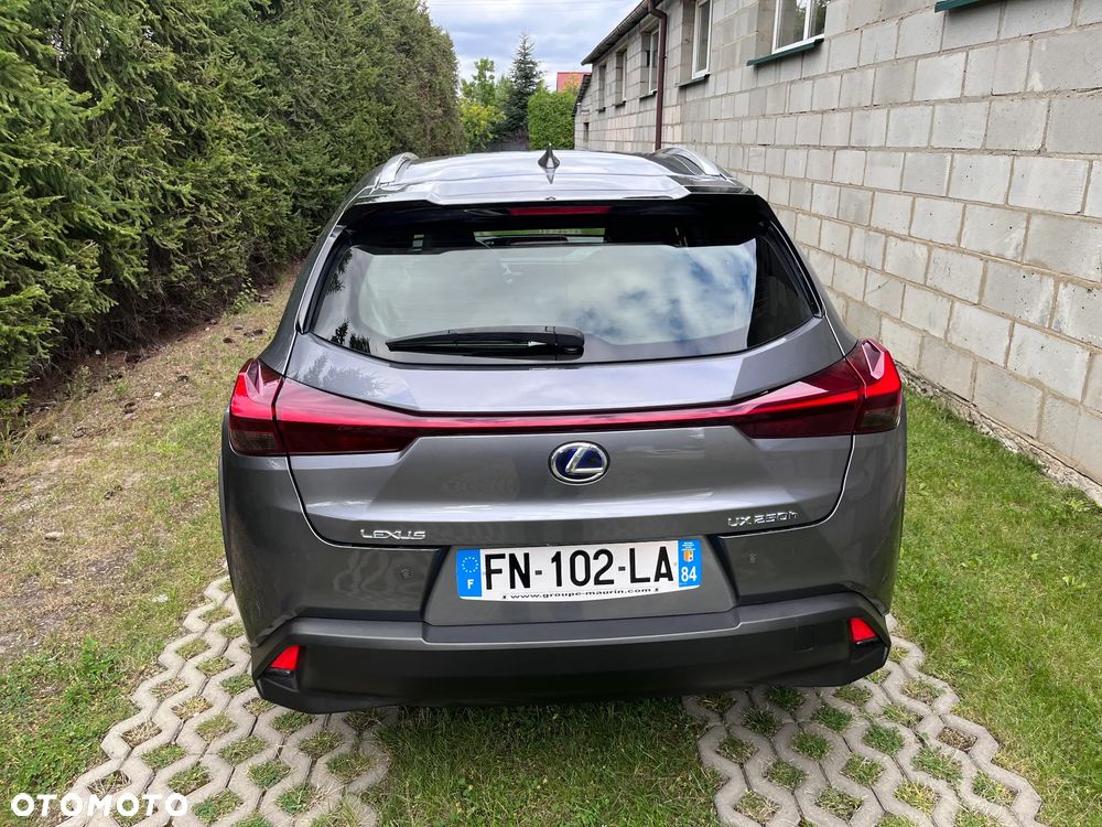 Lexus UX 250h - 10