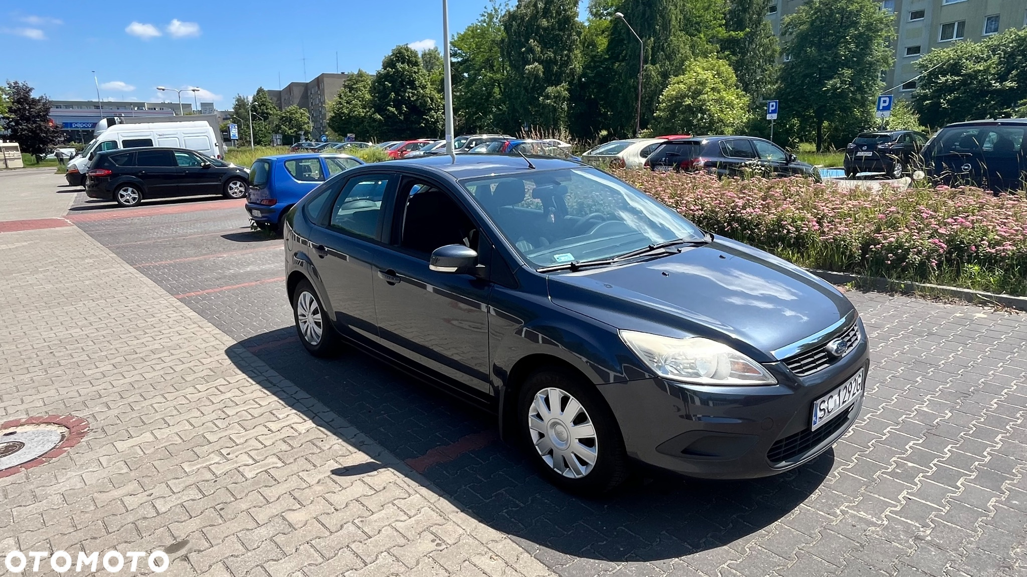 Ford Focus - 3