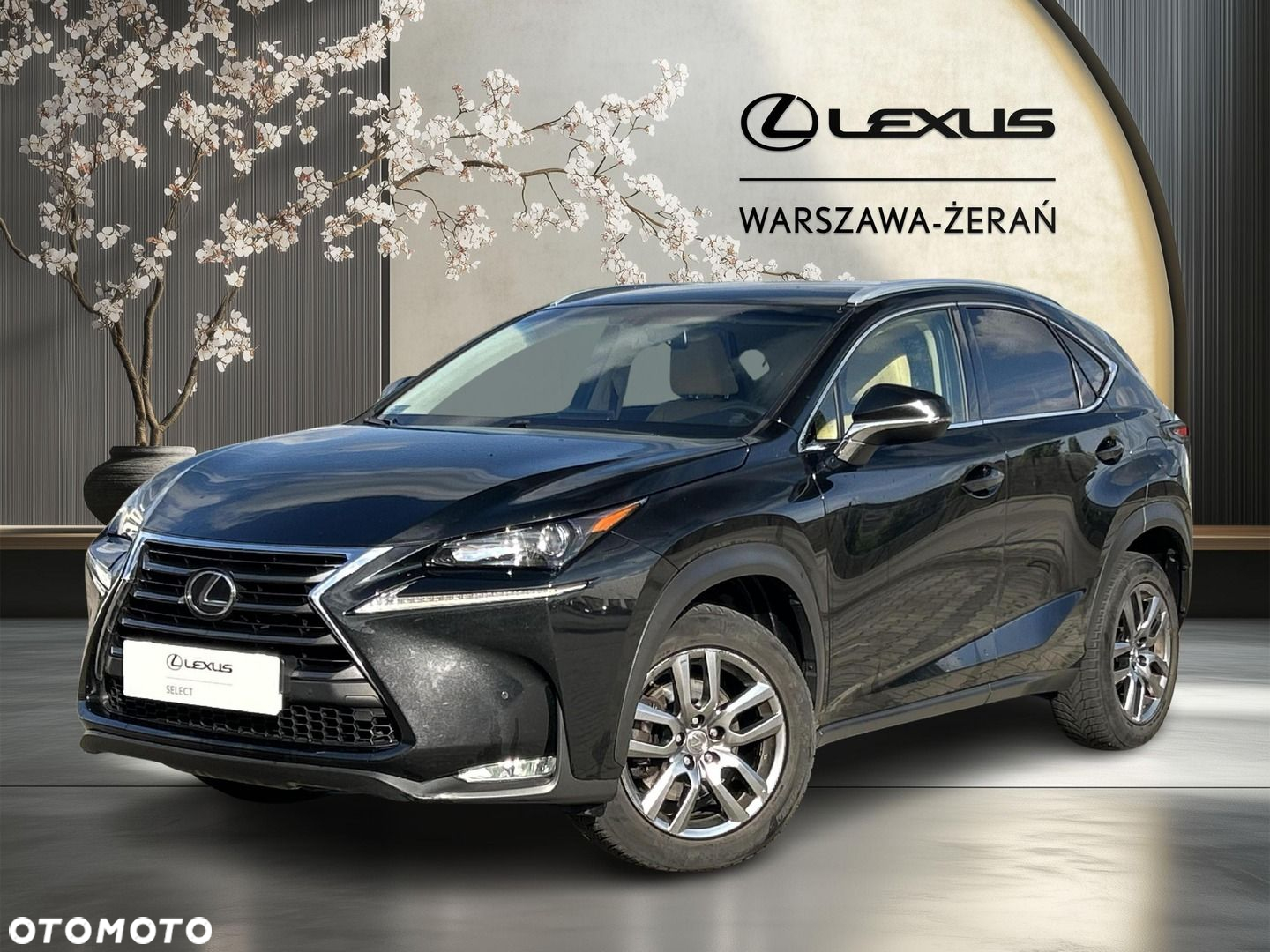 Lexus NX 200t Comfort AWD - 2