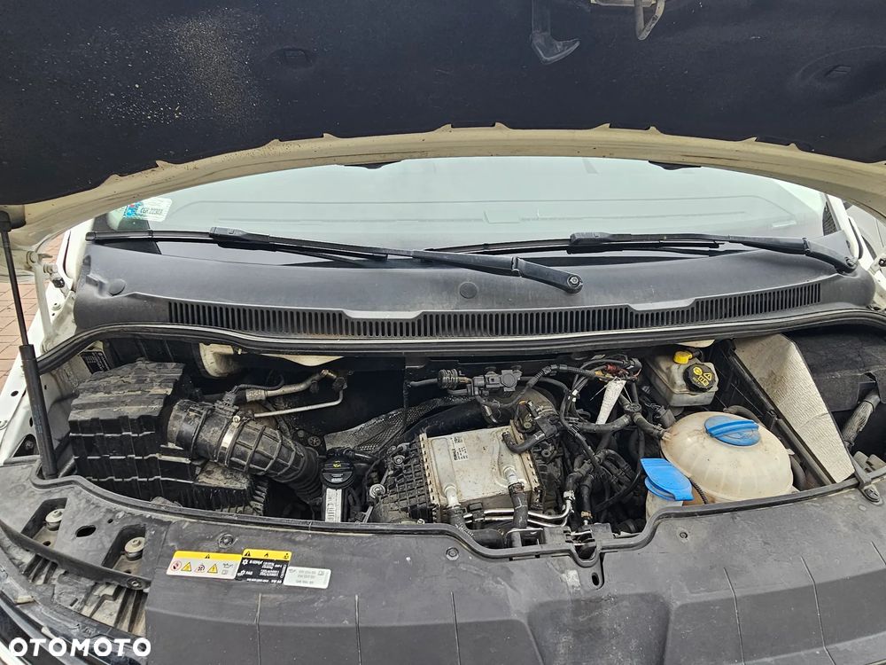 Volkswagen T6.1 - 5