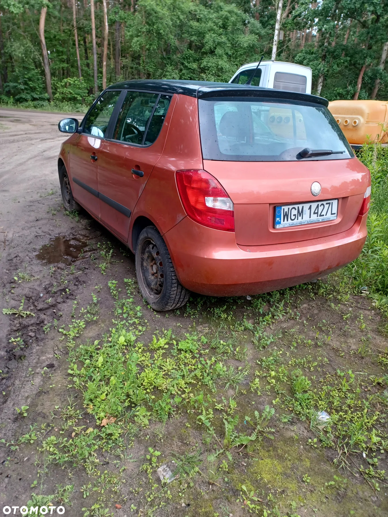 Skoda Octavia - 3