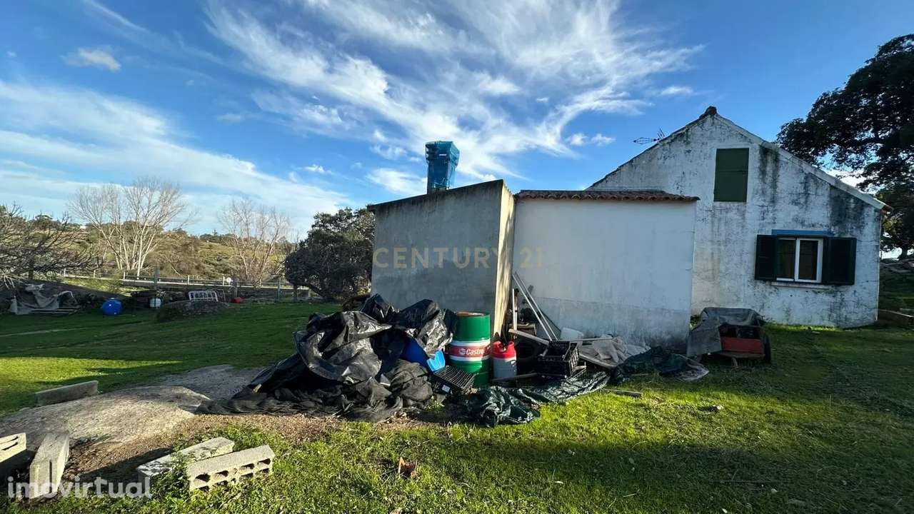 Terreno Rústico, Mata, Castelo Branco - Grande imagem: 3/14