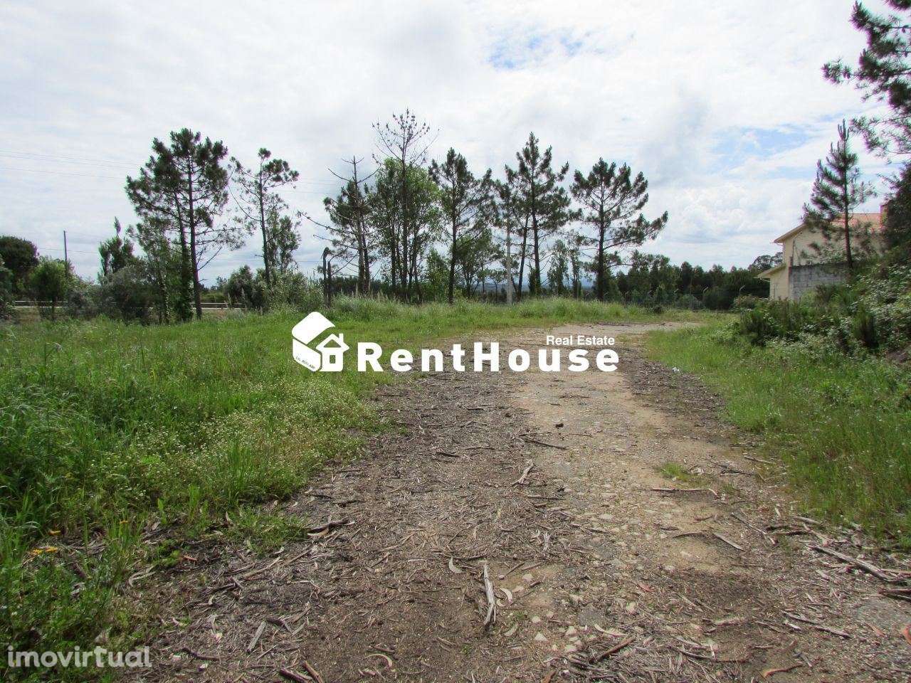 Terreno Industrial Junto à Nacional 109 - Grande imagem: 4/6