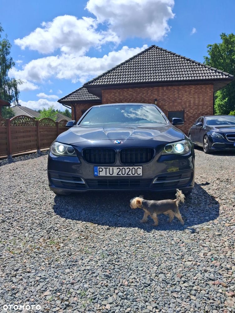 BMW Seria 5 518d Modern Line - 3