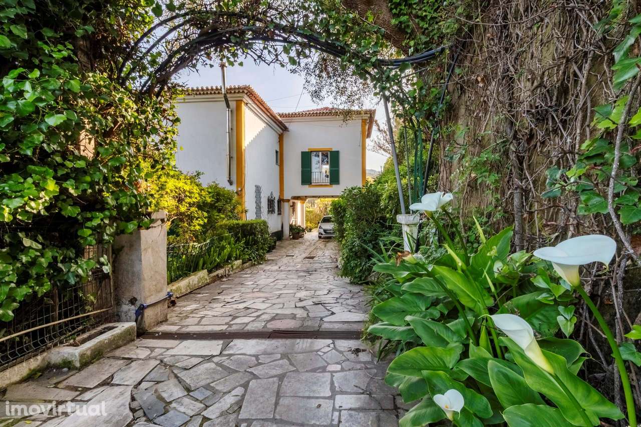 Moradia T6 c/ Terreno de 1600m2 c/ Piscina, Garagem e Anexos em Colare - Grande imagem: 3/60