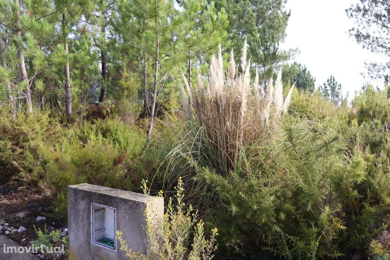 Lote - Grande imagem: 4/5