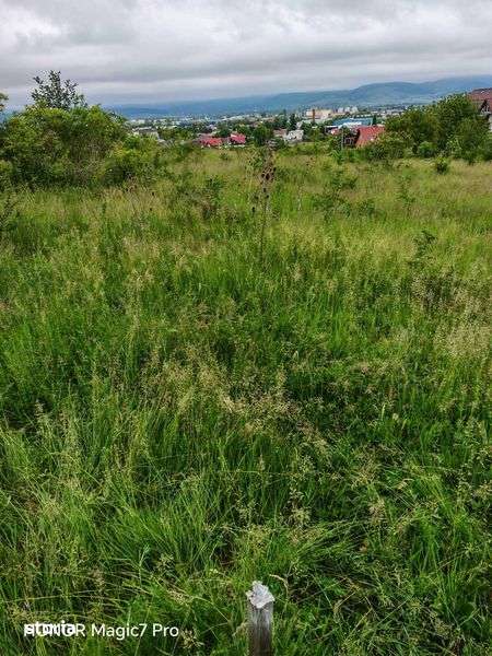 Teren intravillan cu toate facilitatiile in Zavoi - Imagine principală: 5/5