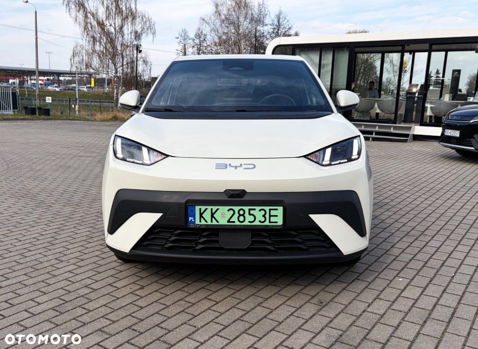 BYD Dolphin Surf - 3