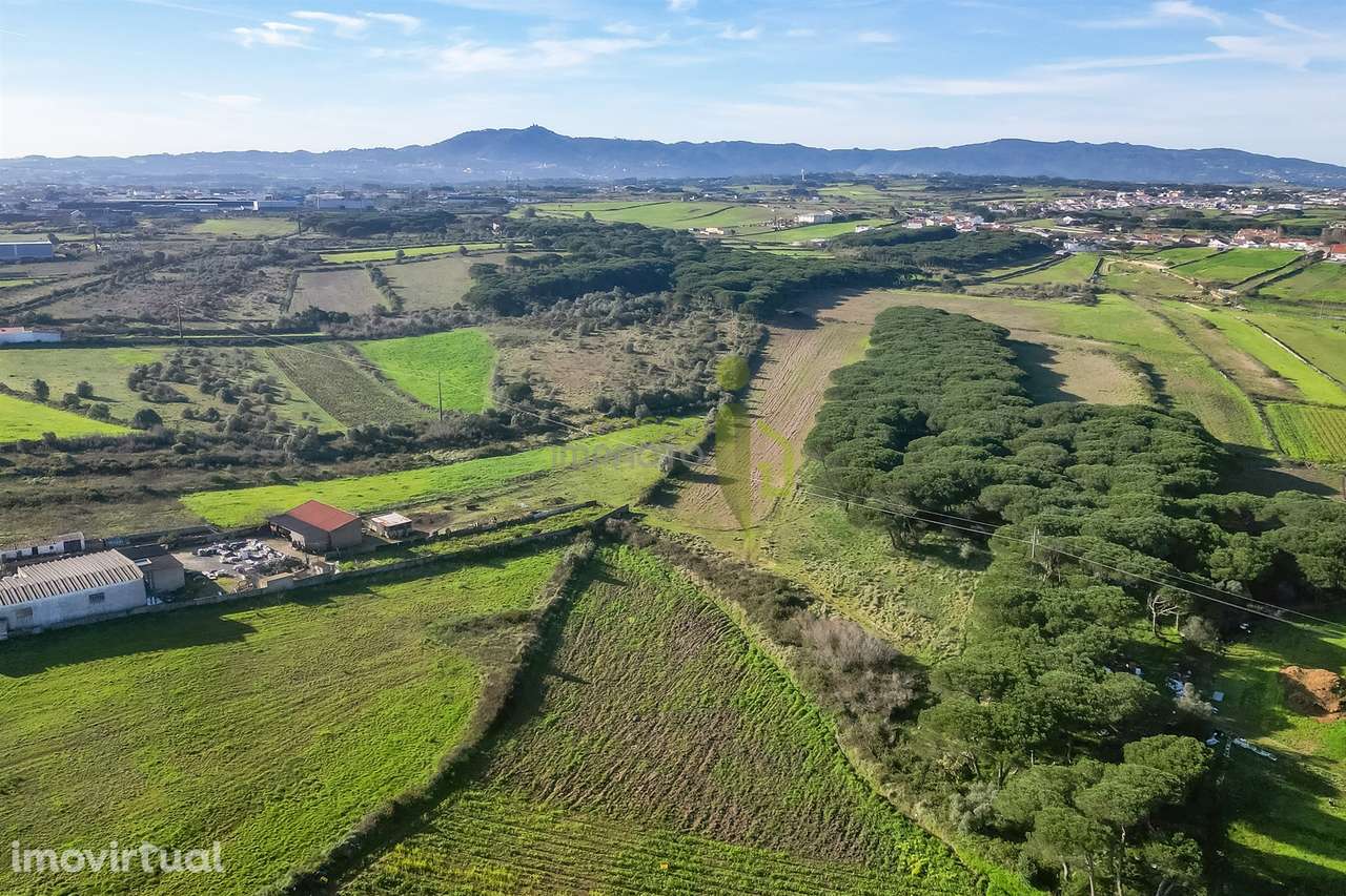 Terreno Rústico com 6 Hectares | São João das Lampas e Terrugem – Sint - Grande imagem: 2/9