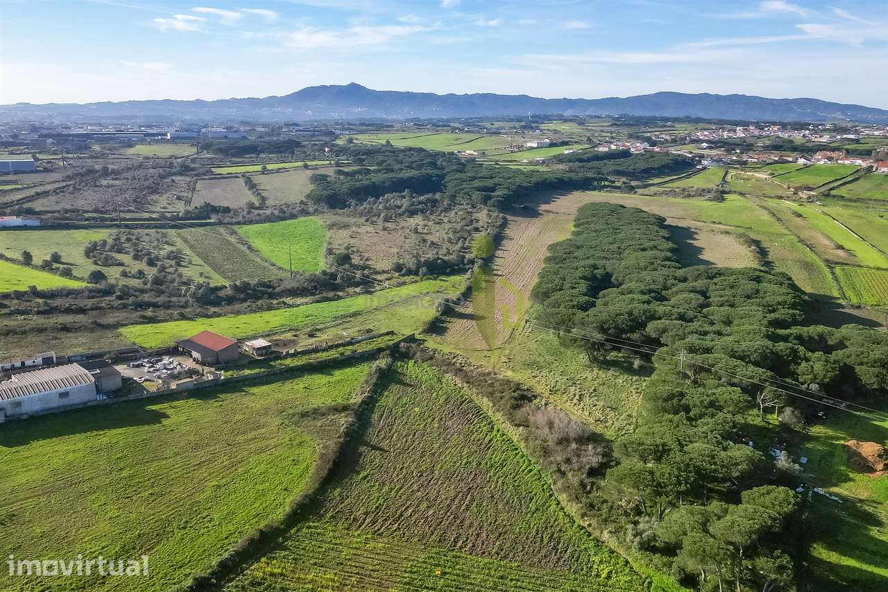 Terreno Rústico com 6 Hectares | São João das Lampas e Terrugem – Sint - Grande imagem: 3/9