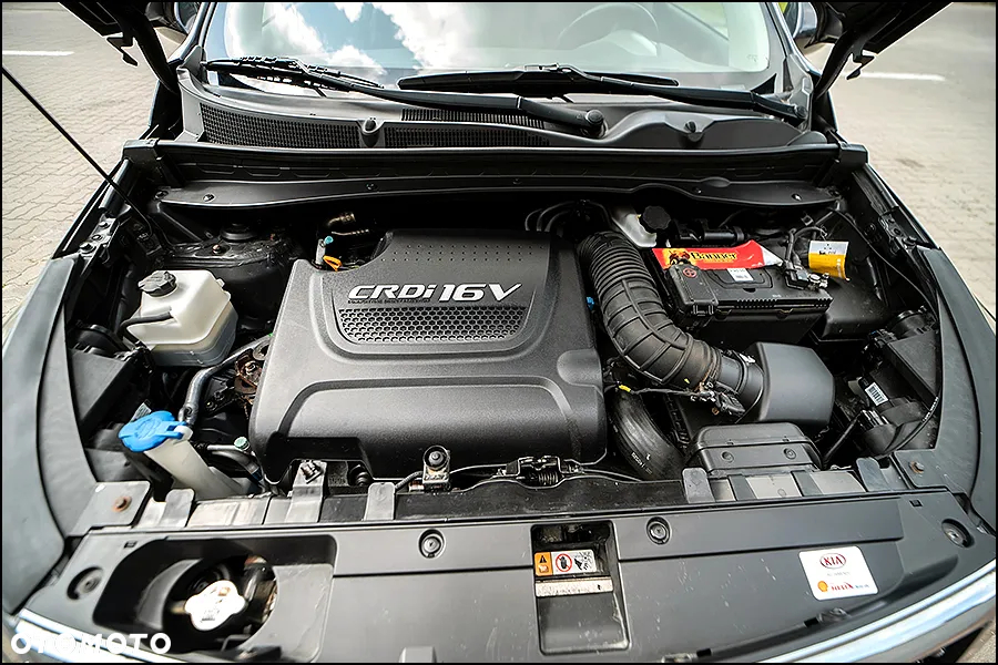Kia Sportage - 39