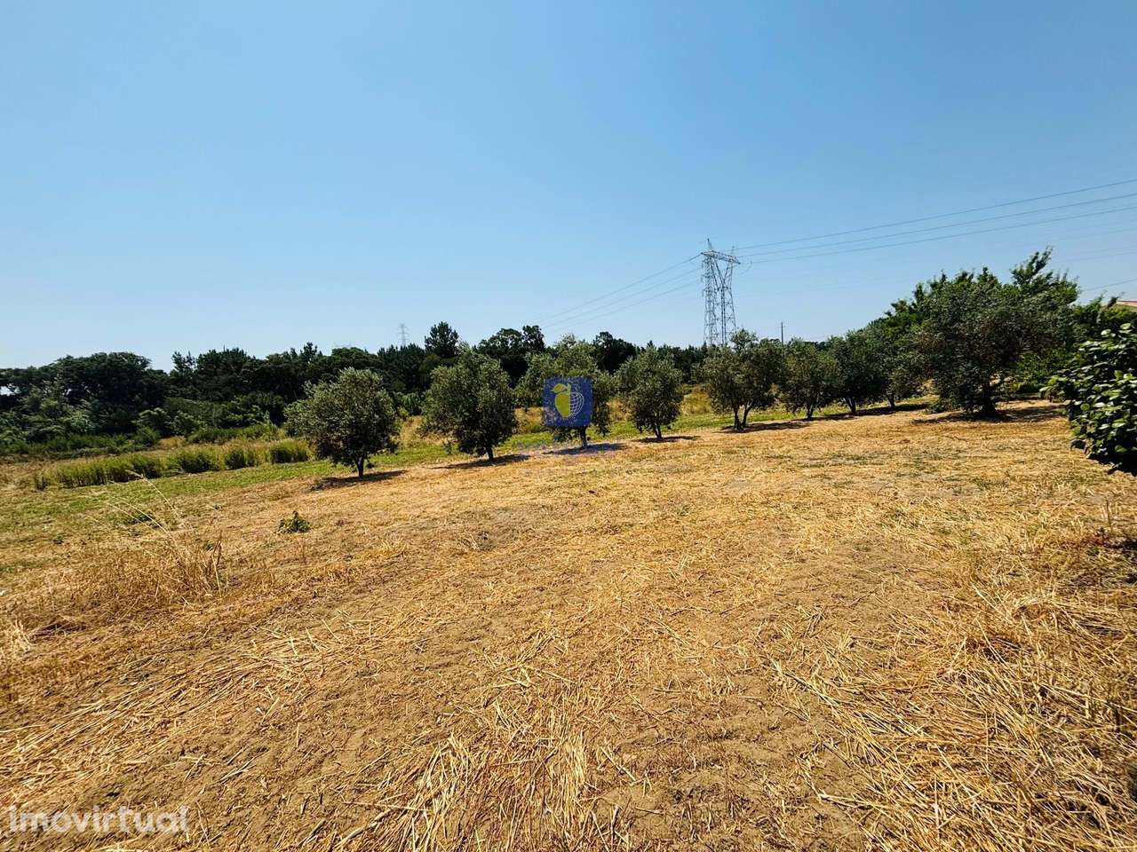 Terreno Urbano com 3.695 m2 em Alcoentre, com viabilidade de construçã - Grande imagem: 2/13