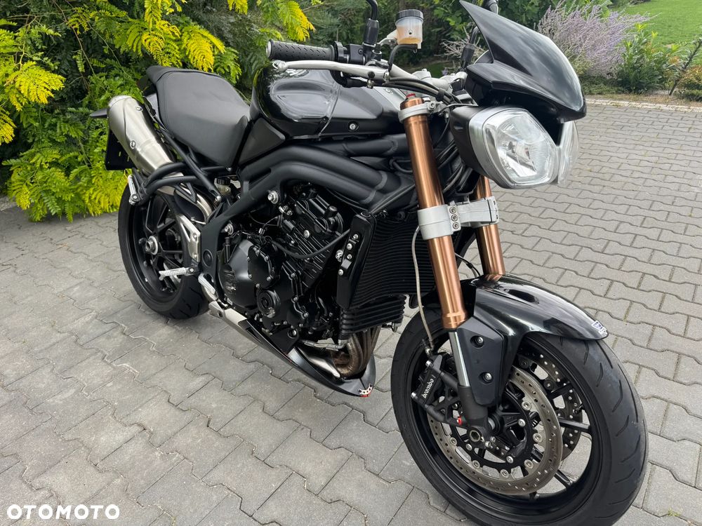 Triumph Speed Triple - 10