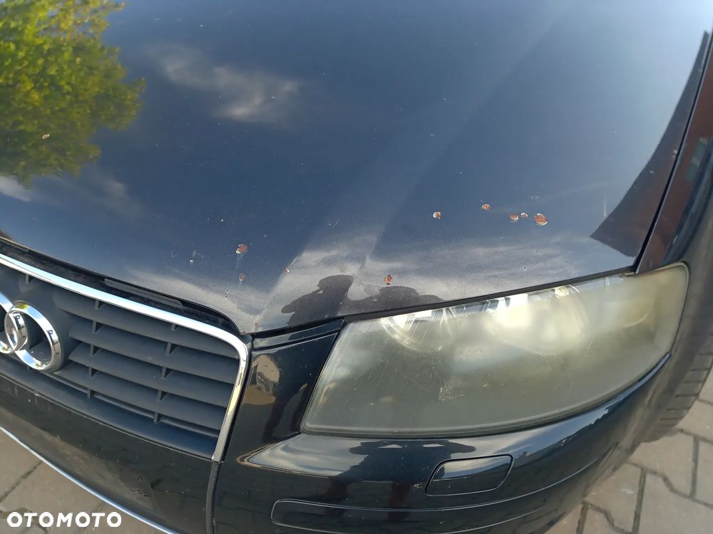 Audi A3 8P maska  LZ7L - 2