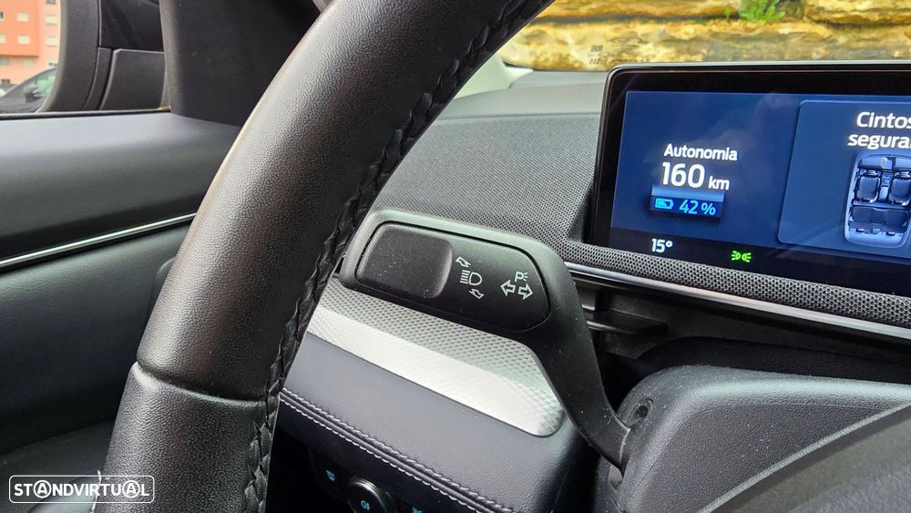 Ford Mustang Mach-E - 14