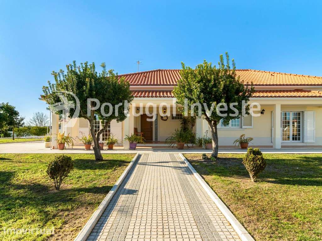 Moradia de Prestígio com 6 Assoalhadas | 5.500 m² de Terreno - Palm... - Grande imagem: 3/39