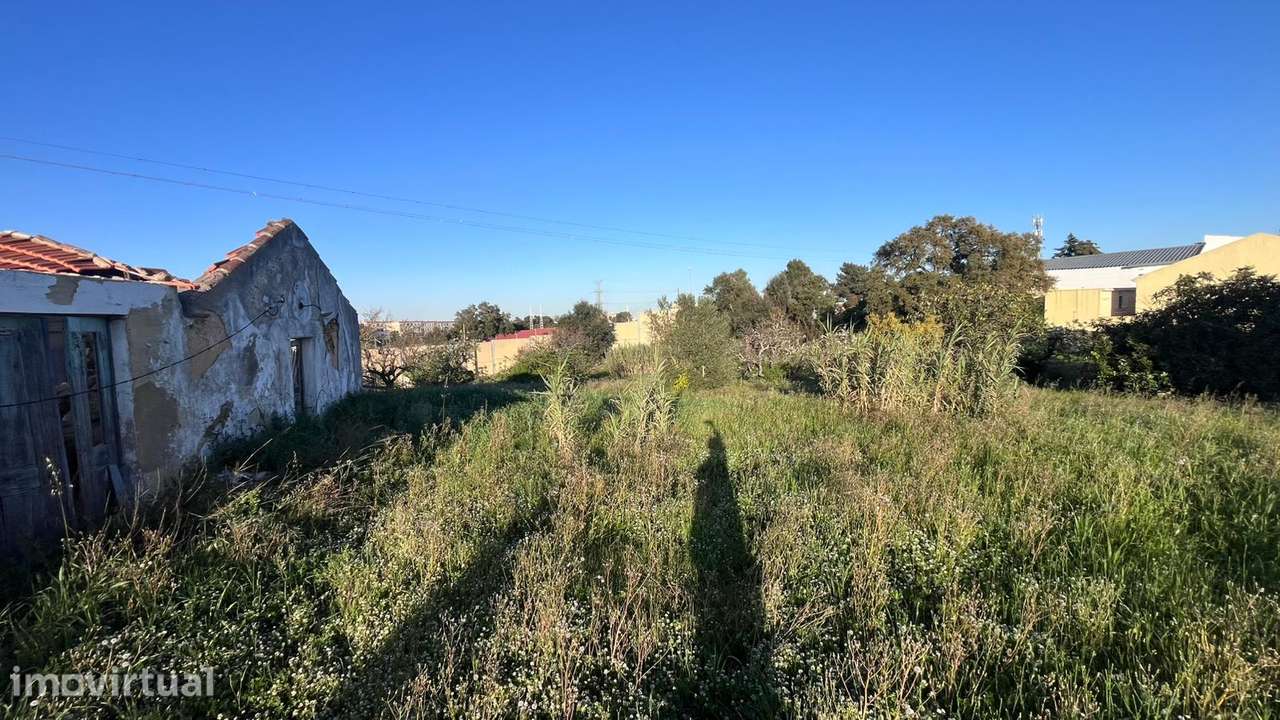 Terreno 9500m2-Foros de Amora Excelente localização -Arrendamento - Grande imagem: 2/2